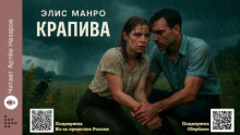 Крапива