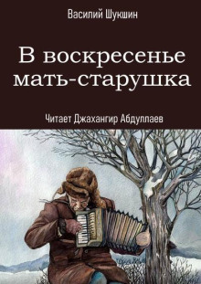 В воскресенье мать-старушка…