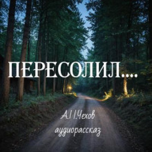 Пересолил