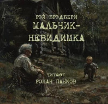 Мальчик-невидимка