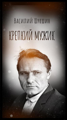 Крепкий мужик