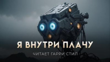 Я весь внутри плачу